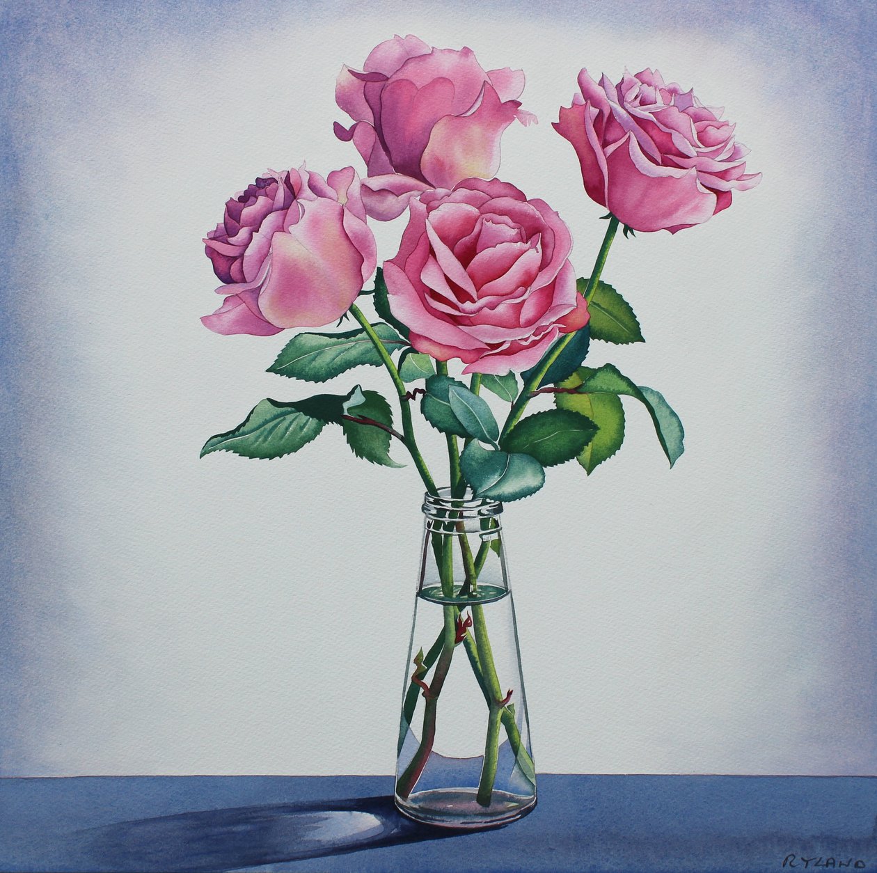 Rosas cor de rosa de Christopher Ryland