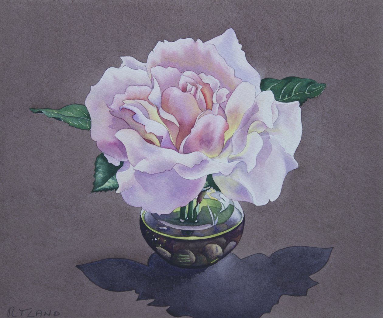 Retrato rosa de Christopher Ryland