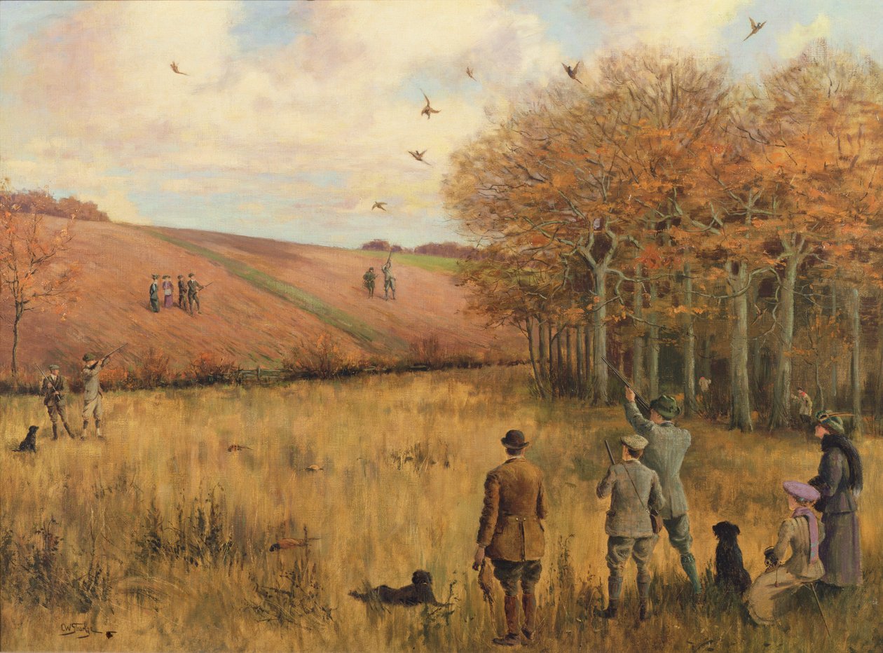 Tiro de faisão de Christopher William Strange