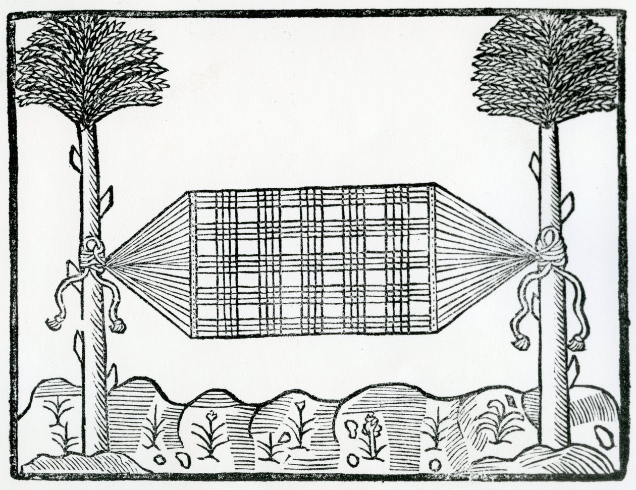 Uma rede da "História Geral das Índias" 1547 de Christopher Columbus