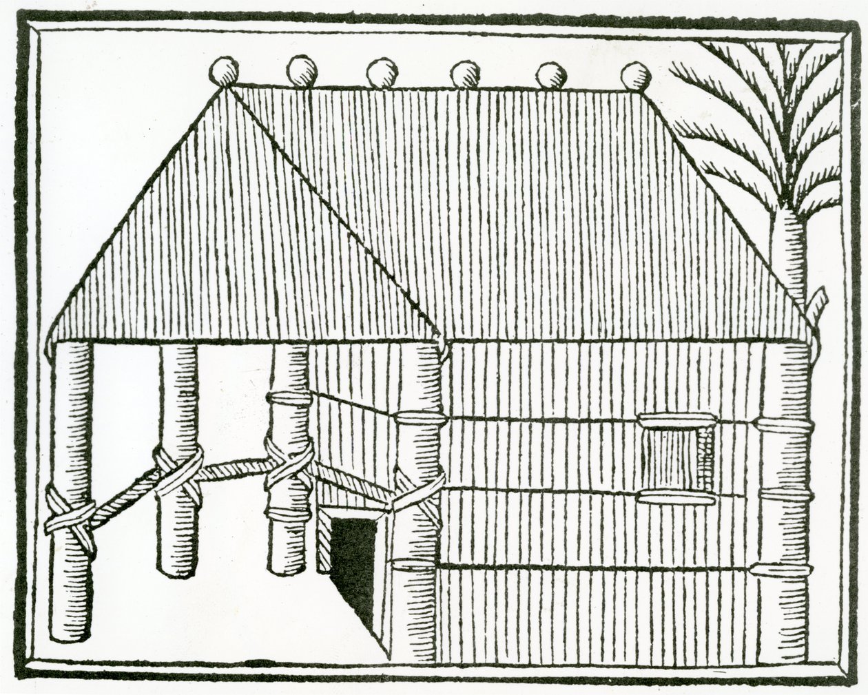 Uma Habitação Indiana da "História Geral das Índias" 1547 de Christopher Columbus