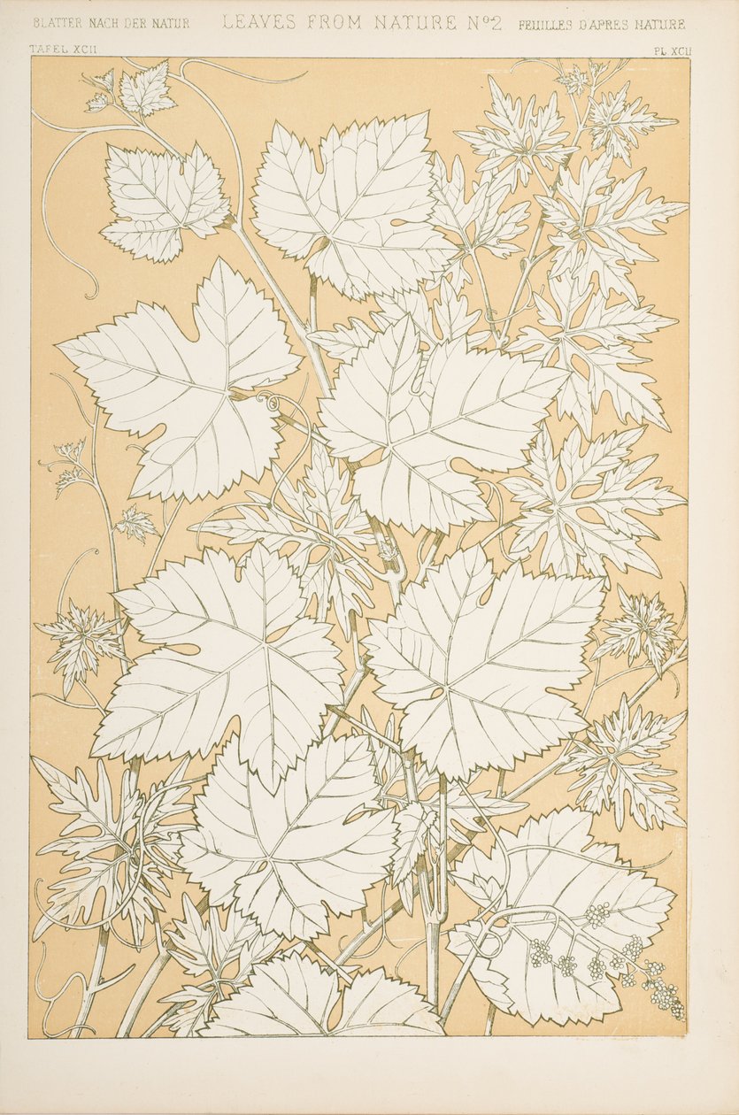 Folhas da natureza, 1868 (cromolitho) de Christopher Dresser