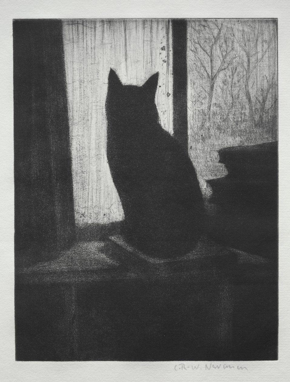 O gato de Christopher Richard Wynne Nevinson