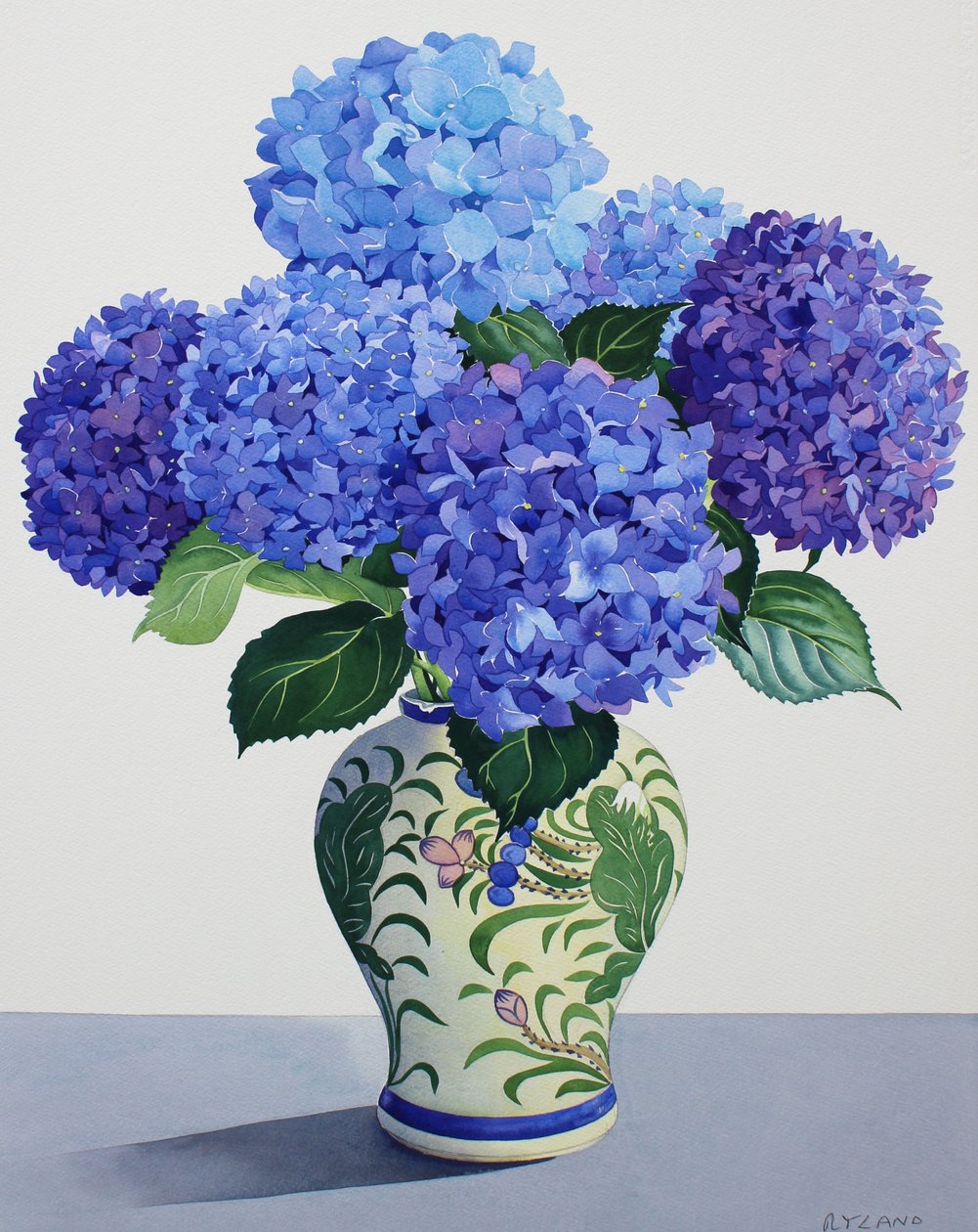 Hortênsias azuis (aguarela sobre papel) de Christopher Ryland
