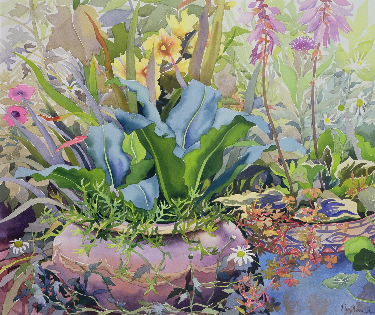Jardim com Plantas, 2000 (wc no papel) de Christopher Ryland