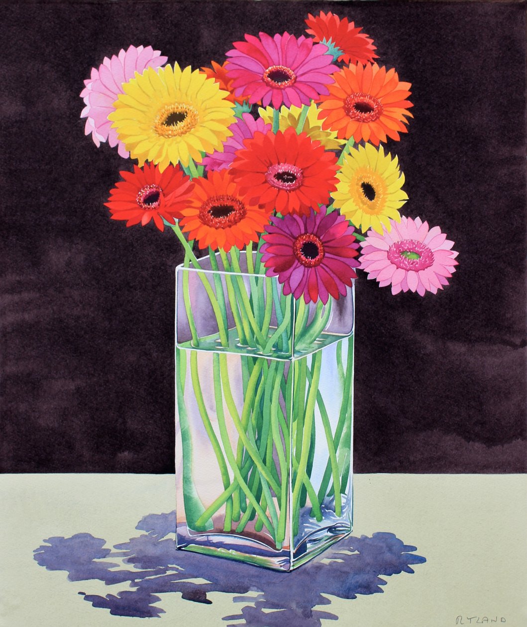 Gerberas (aquarela sobre papel) de Christopher Ryland