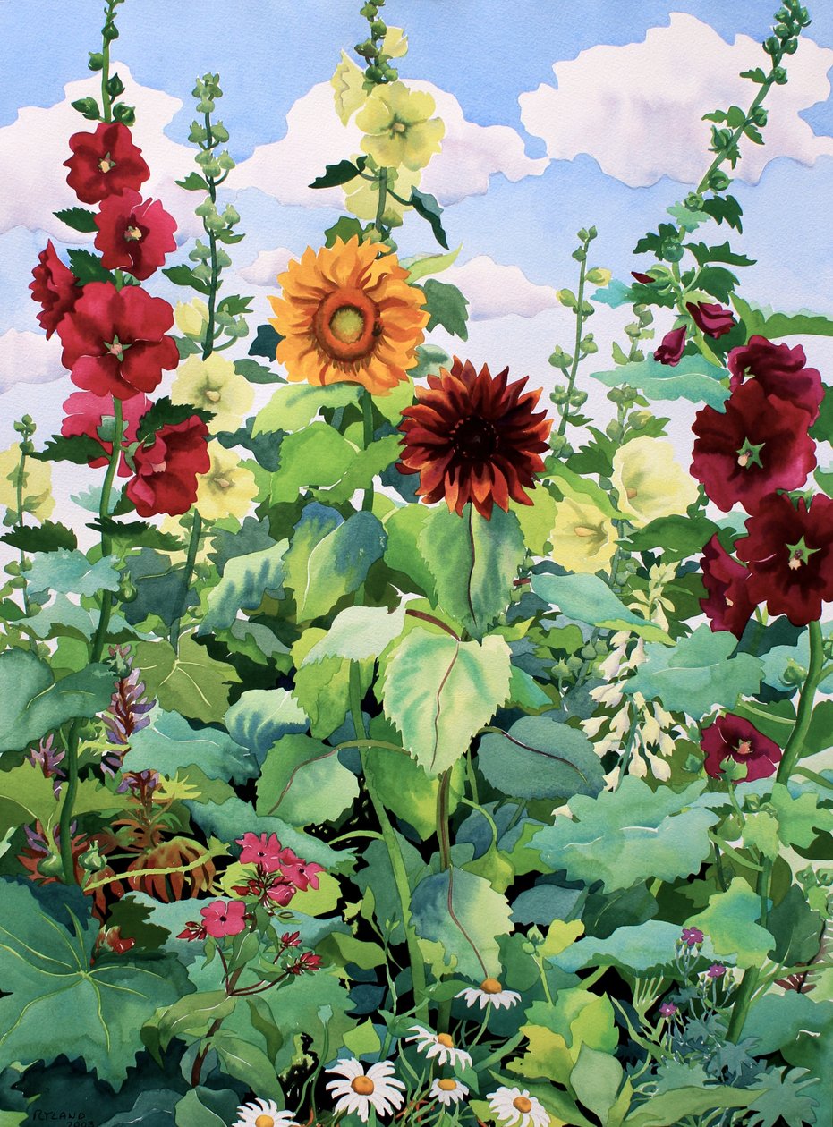 Hollyhocks e girassóis (aquarela sobre papel) de Christopher Ryland