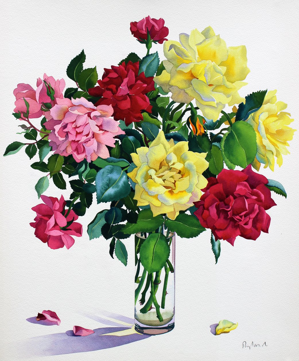 Rosas de junho (aguarela sobre papel) de Christopher Ryland