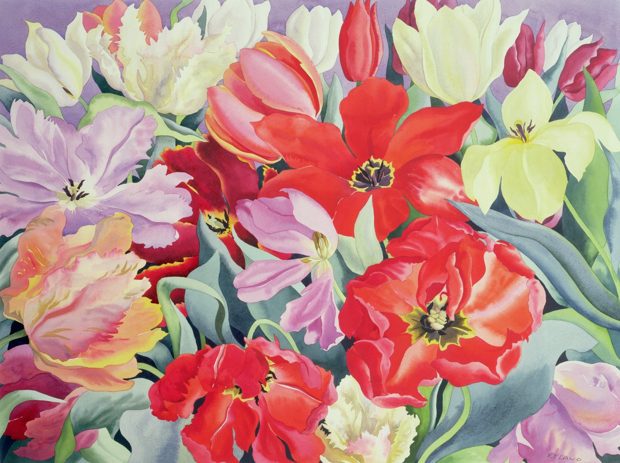 Tulipas em massa, 2003 (wc on paper) de Christopher Ryland