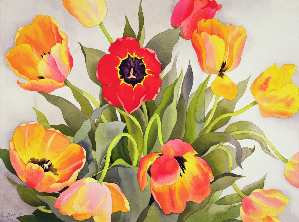 Tulipas laranja e vermelhas (wc) de Christopher Ryland