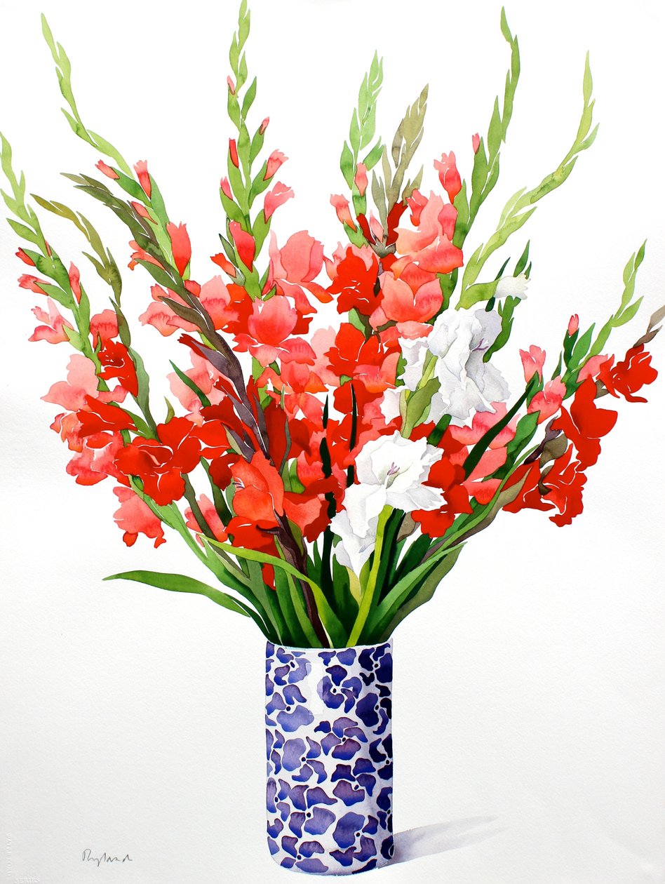 Gladioli vermelho e branco (aquarela sobre papel) de Christopher Ryland