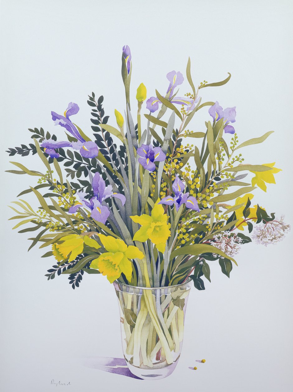 Flores da Primavera (wc no papel) de Christopher Ryland