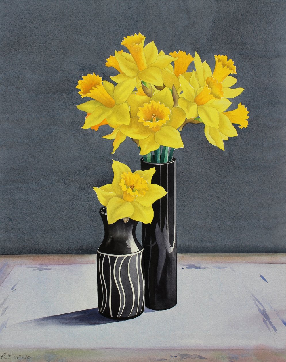 Still Life Daffodils (aguarela sobre papel) de Christopher Ryland