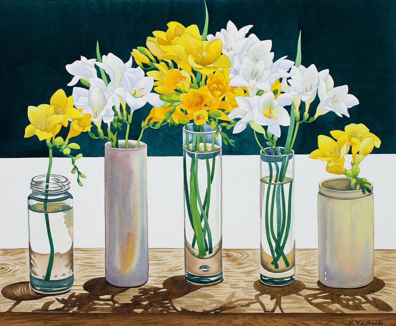 Ainda vida Freesias (aguarela no papel) de Christopher Ryland