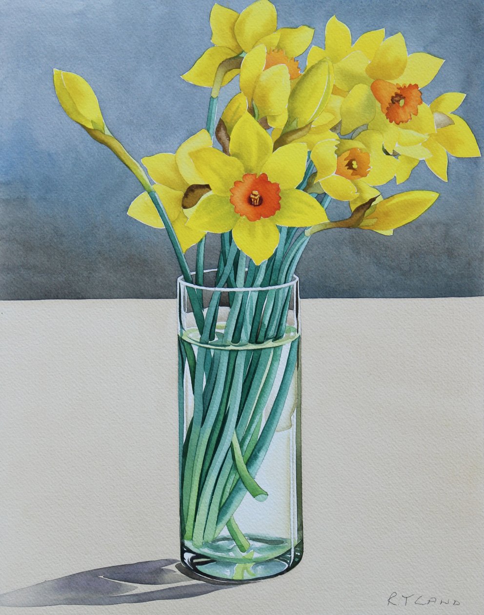 Supermercado Daffodils, 2022 (aguarela sobre papel) de Christopher Ryland