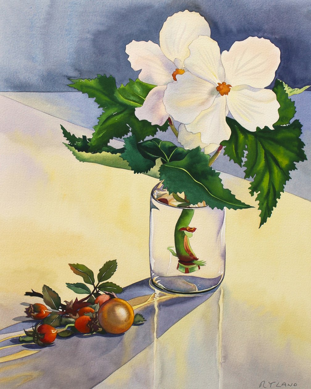 White Begonia e Rosehips de Christopher Ryland