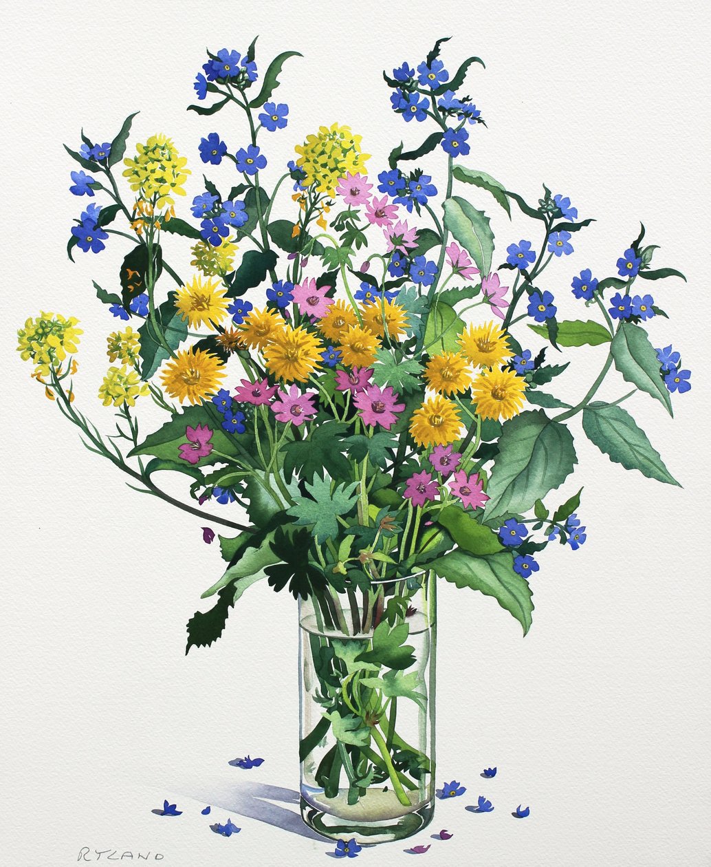 Flores Silvestres com Alkanet, 2021 (aquarela sobre papel) de Christopher Ryland