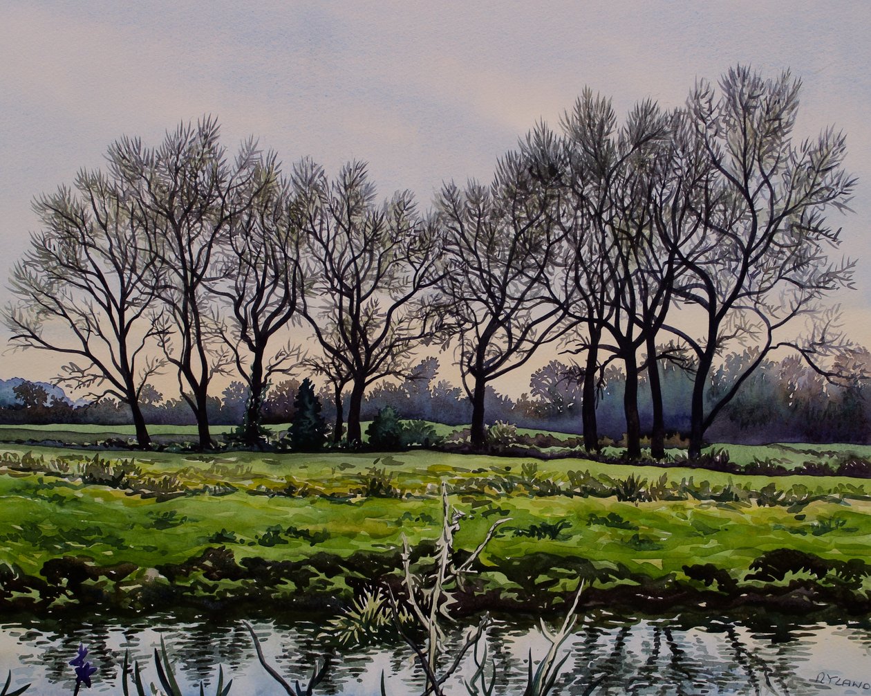Winter Trees (aguarela sobre papel) de Christopher Ryland