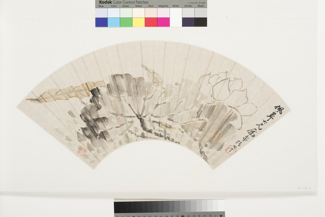 Flor de lótus e folhas, início do século XIX (tinta e cores claras sobre papel de mica-flecked montado a bordo) de Cining Zhang