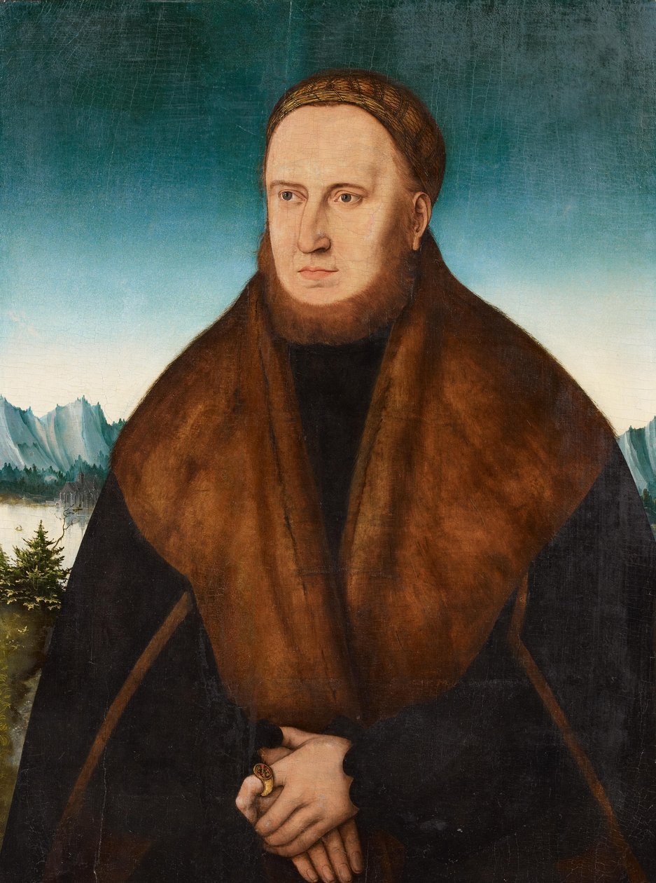 Retrato, de, um, homem barbudo, com, boné, e, pele-aparado, agasalho de Jan the Elder circle of Brueghel
