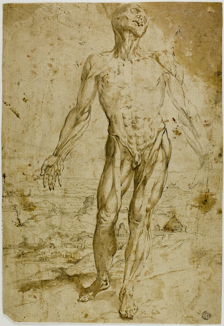 Écorché antes de Paisagem (anverso); Esboços de Nu Masculino em Pé, Criança Sentada, Mulher Inclinada (verso) de Circle of Titian