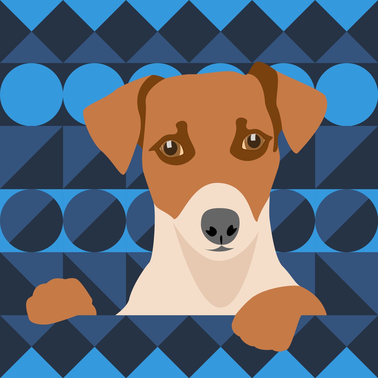 Cão asteca de Claire Huntley