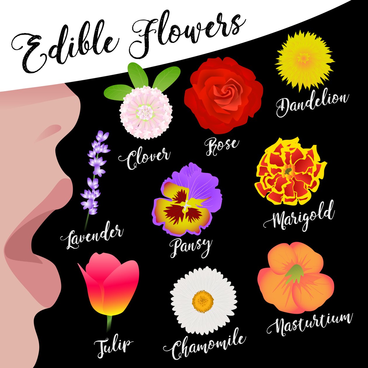 Flores comestíveis de Claire Huntley