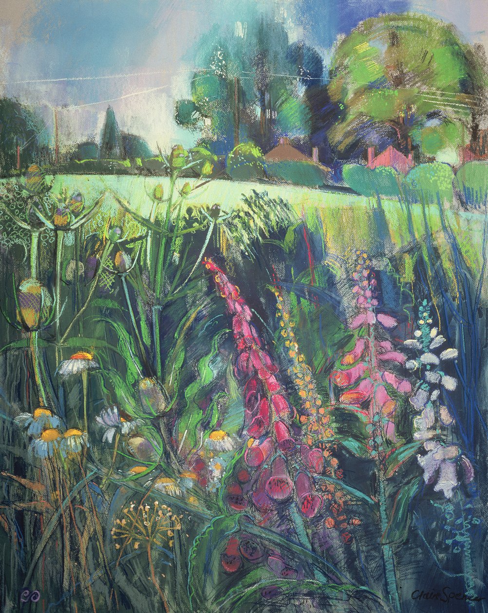 Campo de verão de Claire Spencer