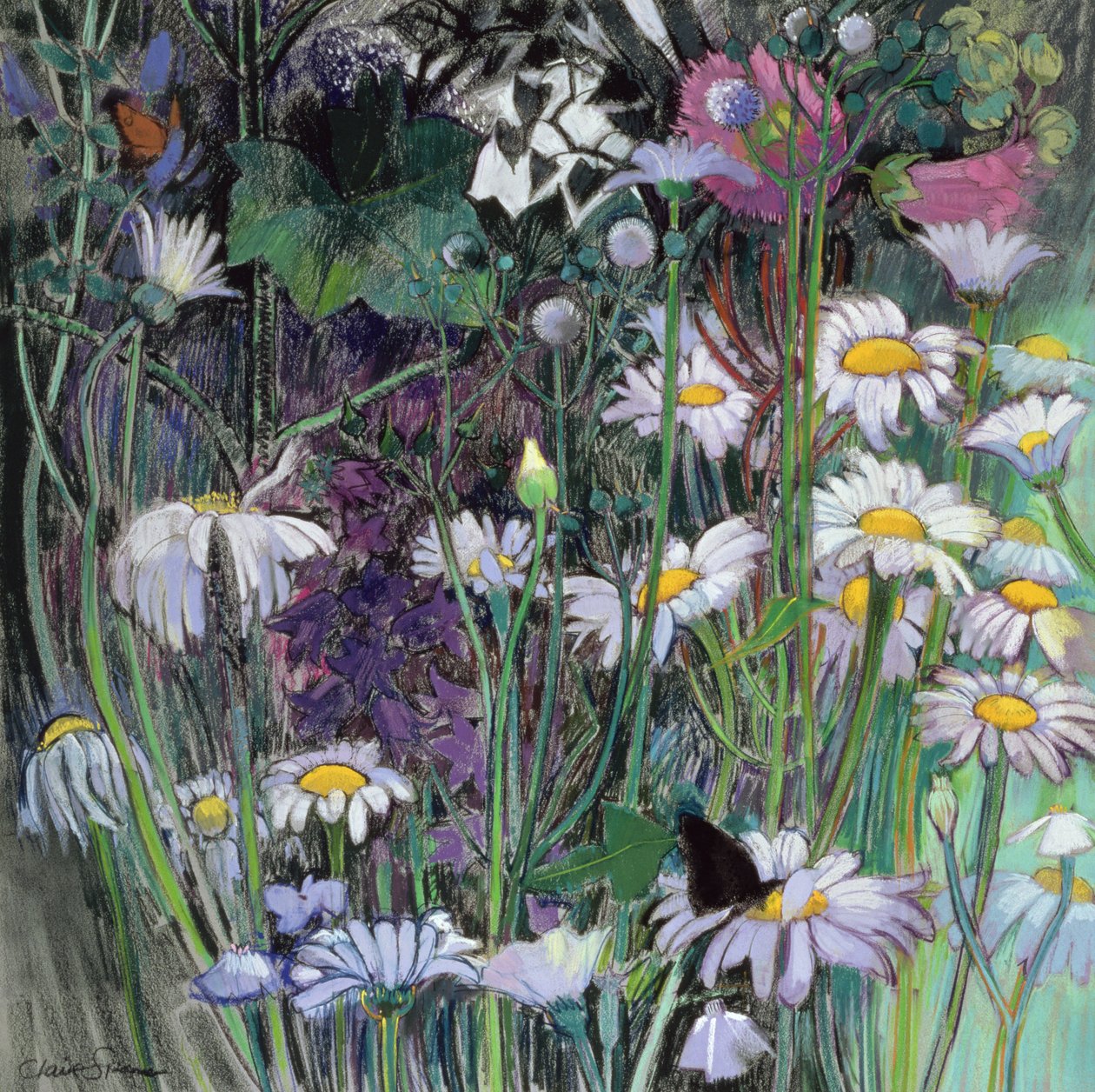 O jardim branco de Claire Spencer