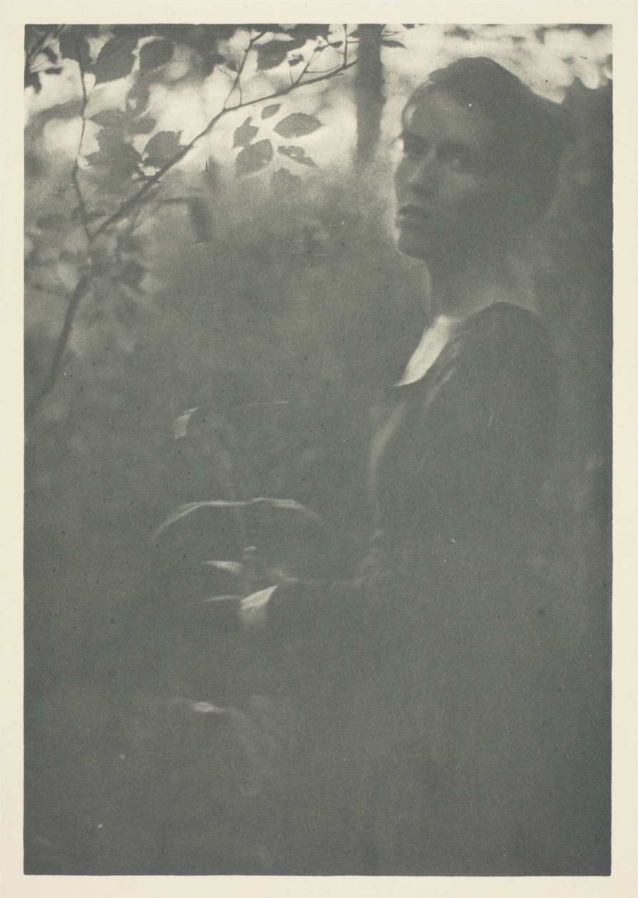 Borda do Bosque de Clarence H. White