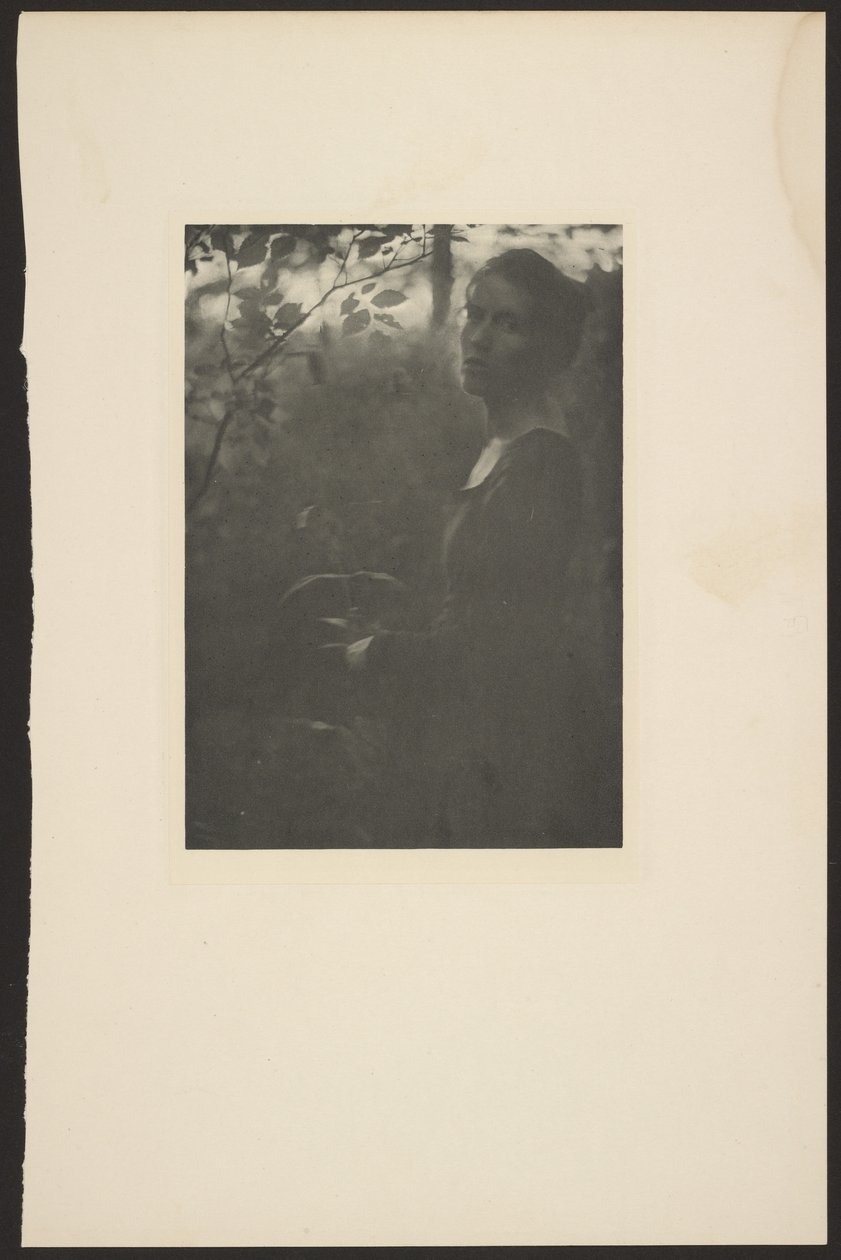 [Borda do Bosque -- Noite] de Clarence H. White