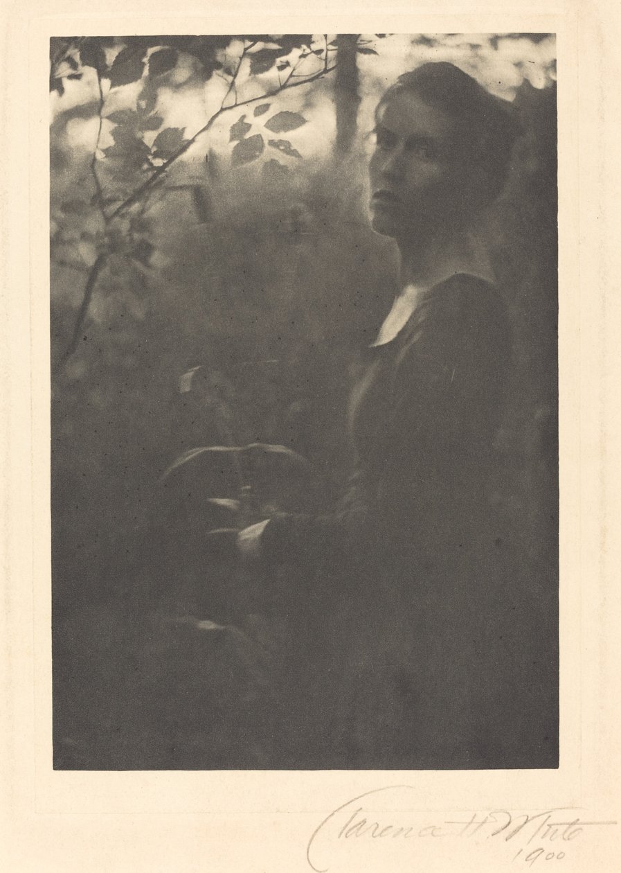 Borda do Bosque, Noite de Clarence H. White