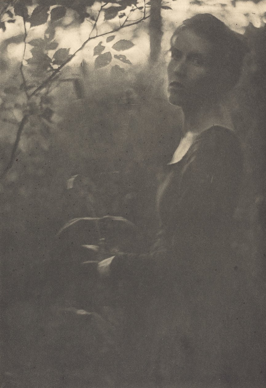 Floresta. de Clarence H White