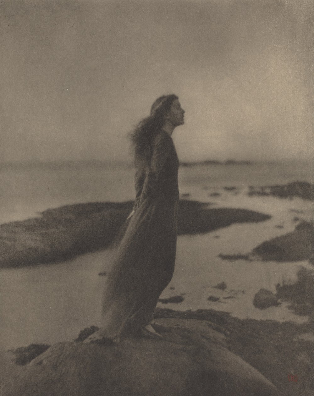 Rose Pastor Stokes, 1909. de Clarence H White