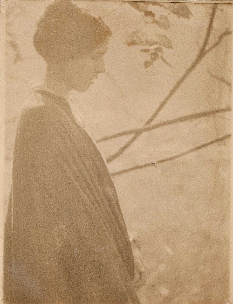 Floresta. de Clarence H White