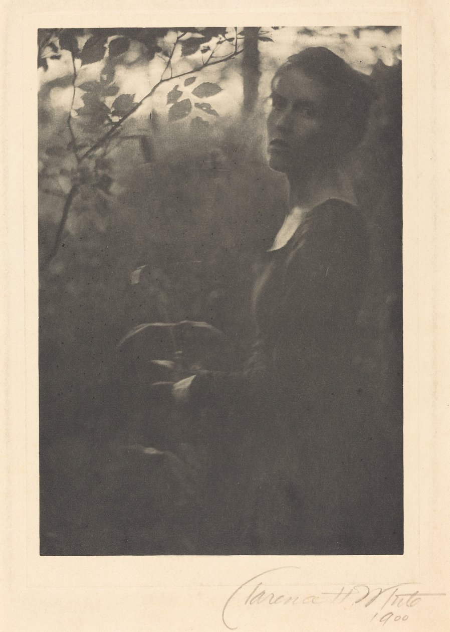 Borda do bosque, noite, 1900 (foto) de Clarence Henry White