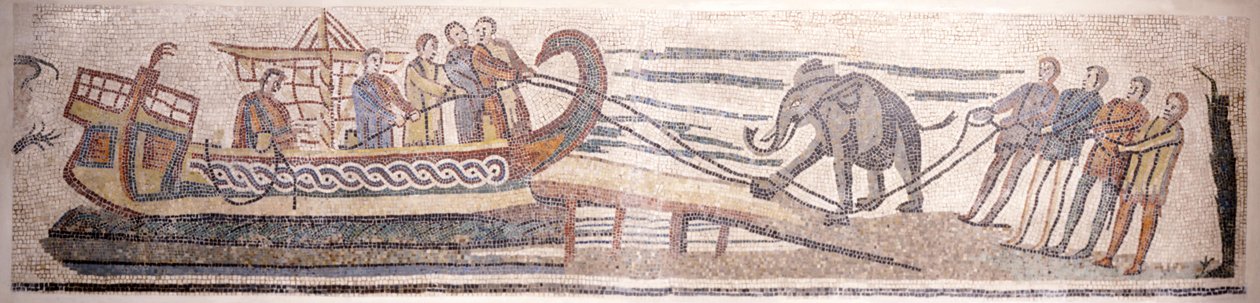 Embarcar em um elefante em um navio de Classical Antiquities