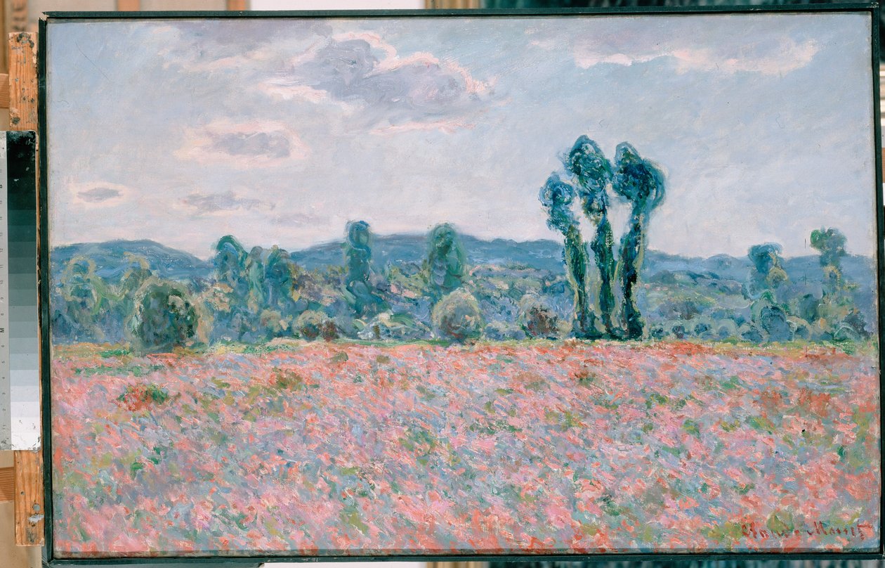Poppy FieldnPolski: pólo makown de Claude Monet