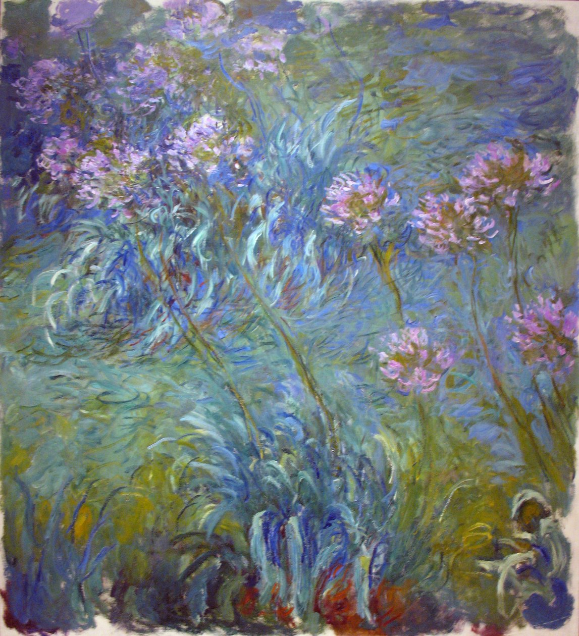 Agapanthus de Claude Monet