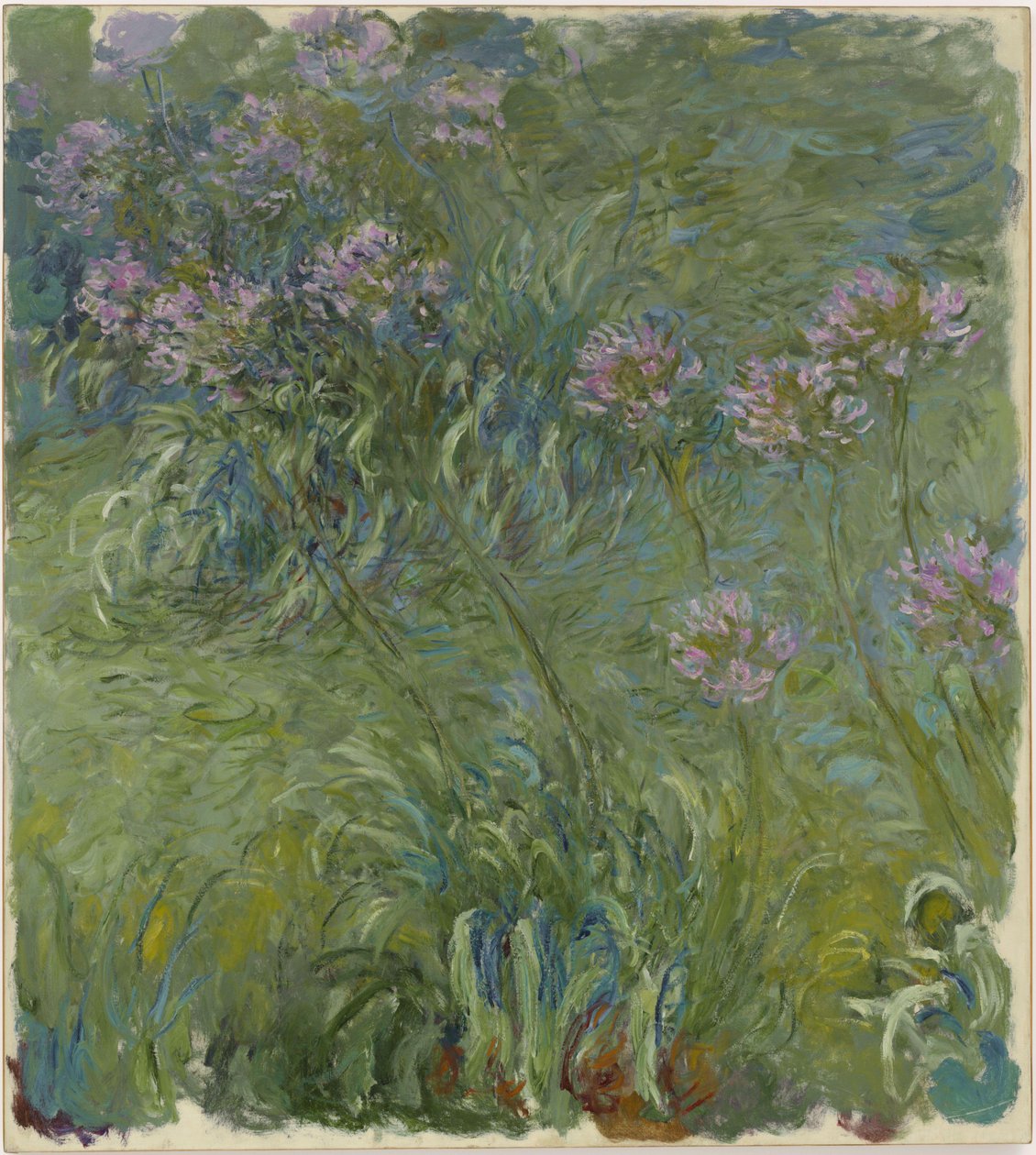 Agapanthus de Claude Monet