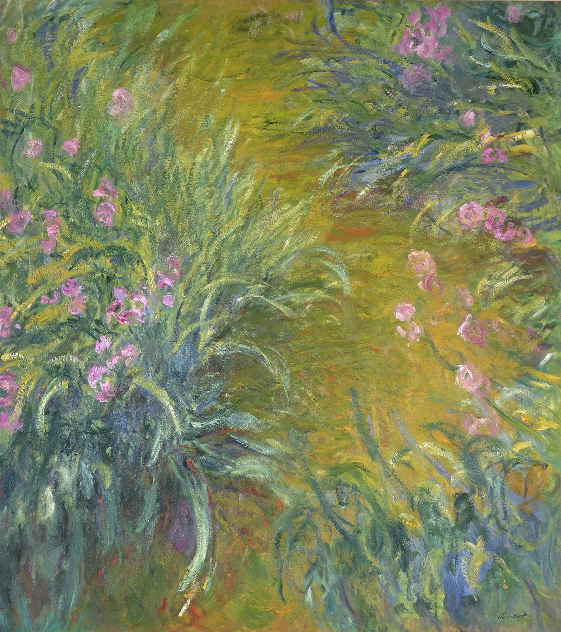 Íris de Claude Monet