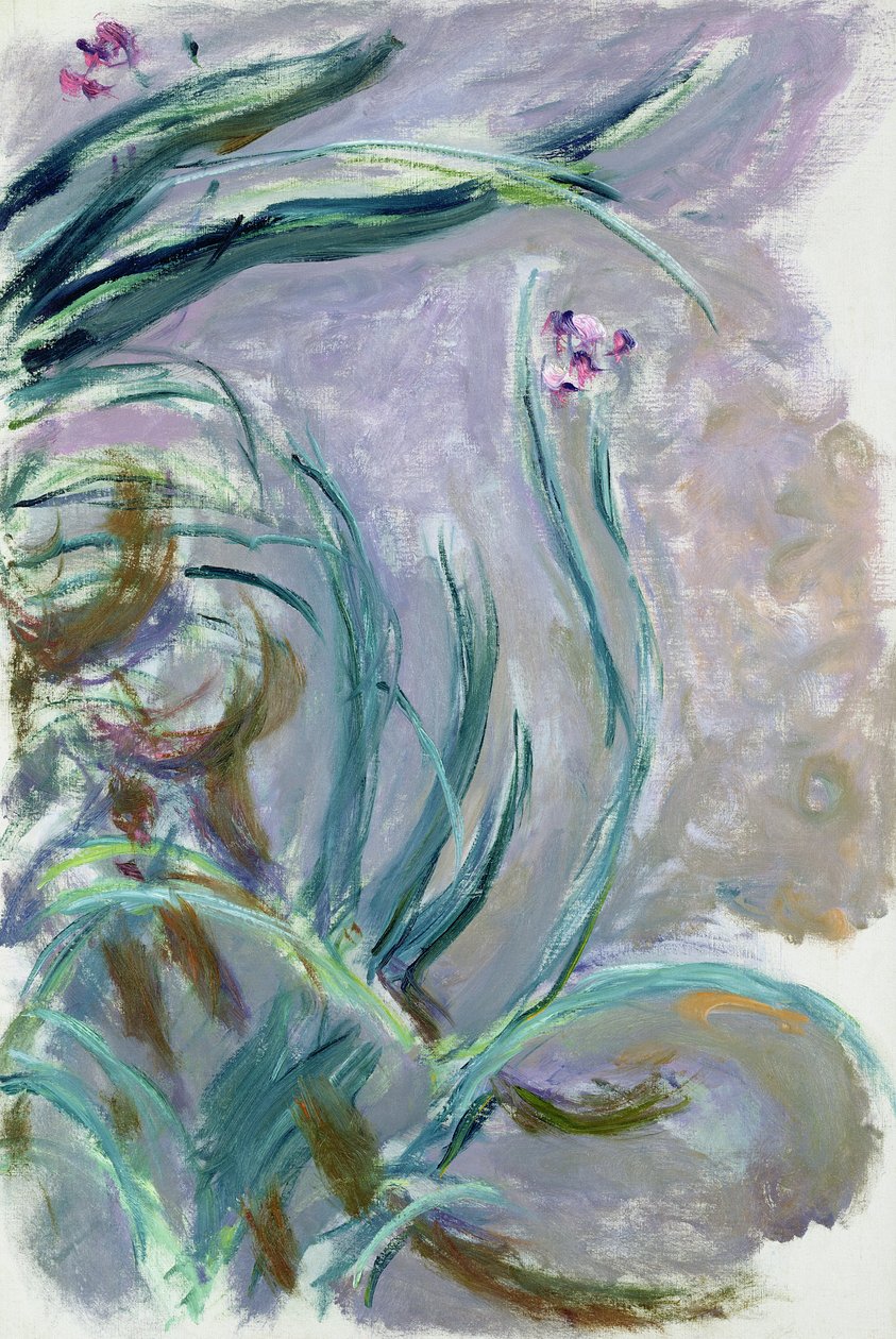 Íris, 1924-25 de Claude Monet