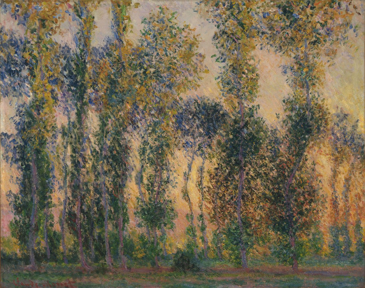Choupos em Giverny, nascer do sol de Claude Monet
