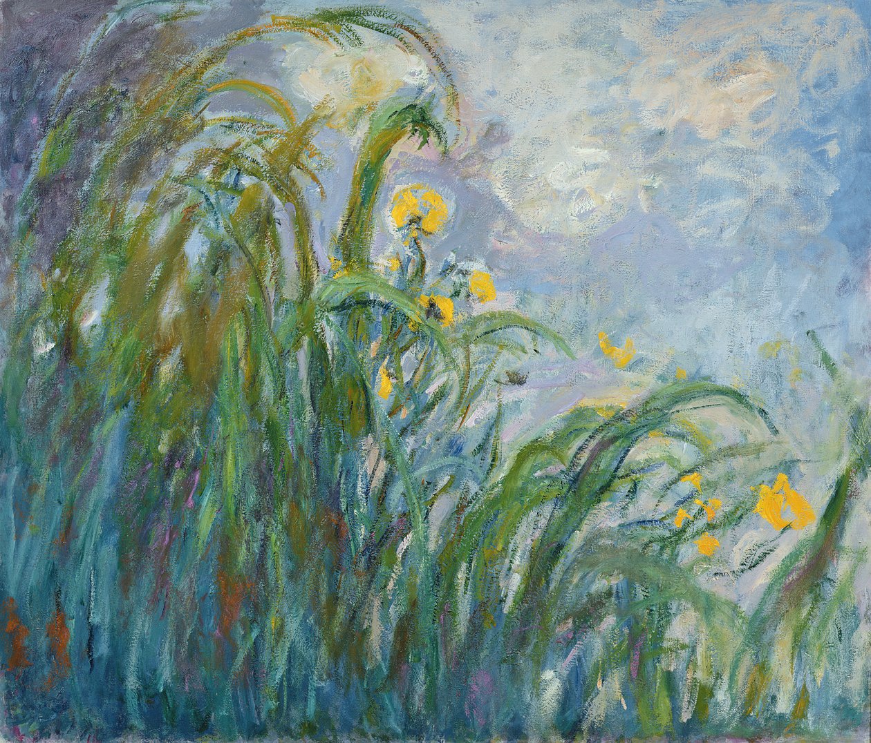 A íris amarela (ver detalhe 414406) de Claude Monet