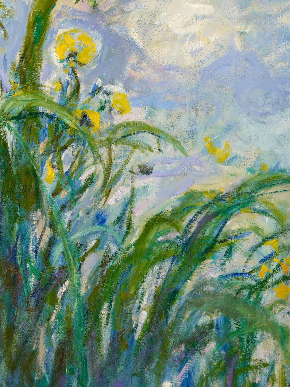 O detalhe da íris amarela de 154652 óleo sobre tela de Claude Monet