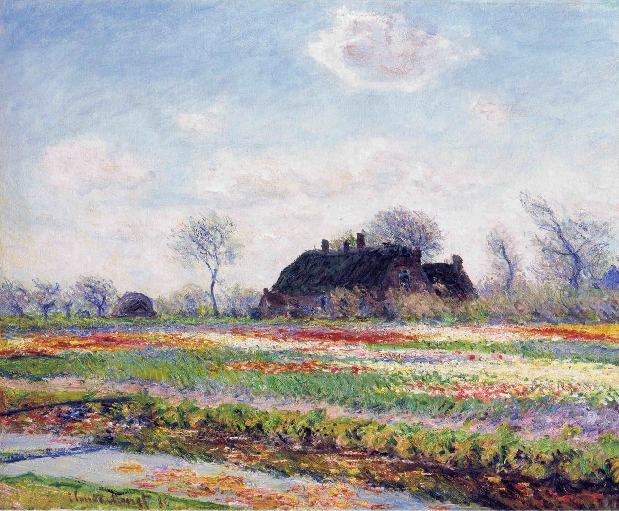 Tulpenfelder em Sassenheim de Claude Monet