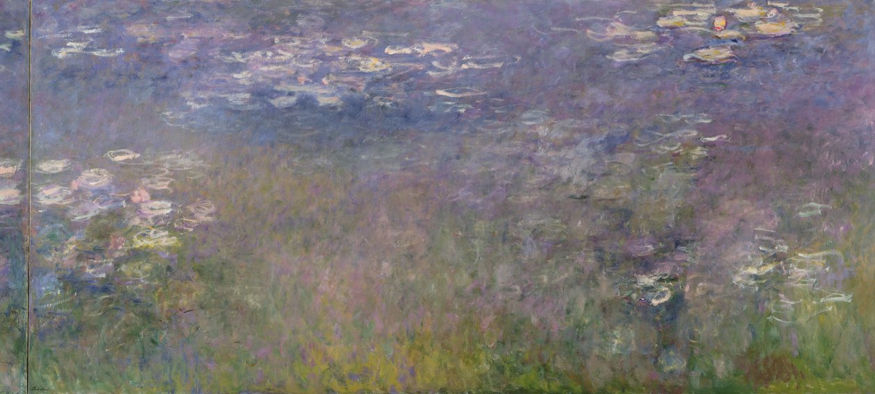 Lírios de água (Agapanthus) c.1915-26 de Claude Monet