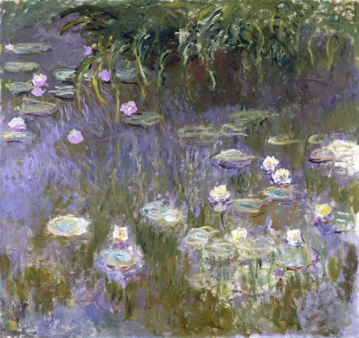 Lírios de Claude Monet