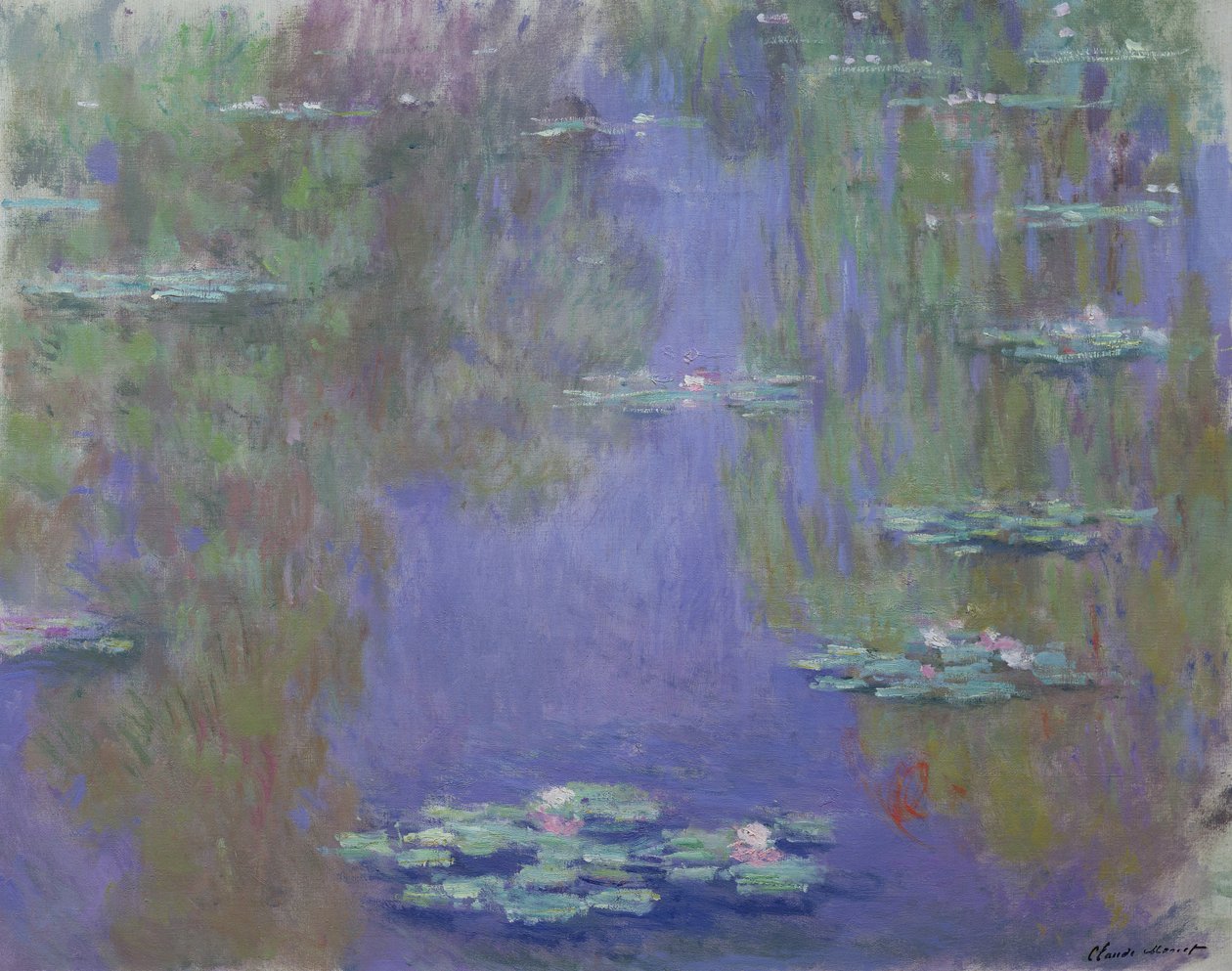 Nenúfares, 1903 de Claude Monet