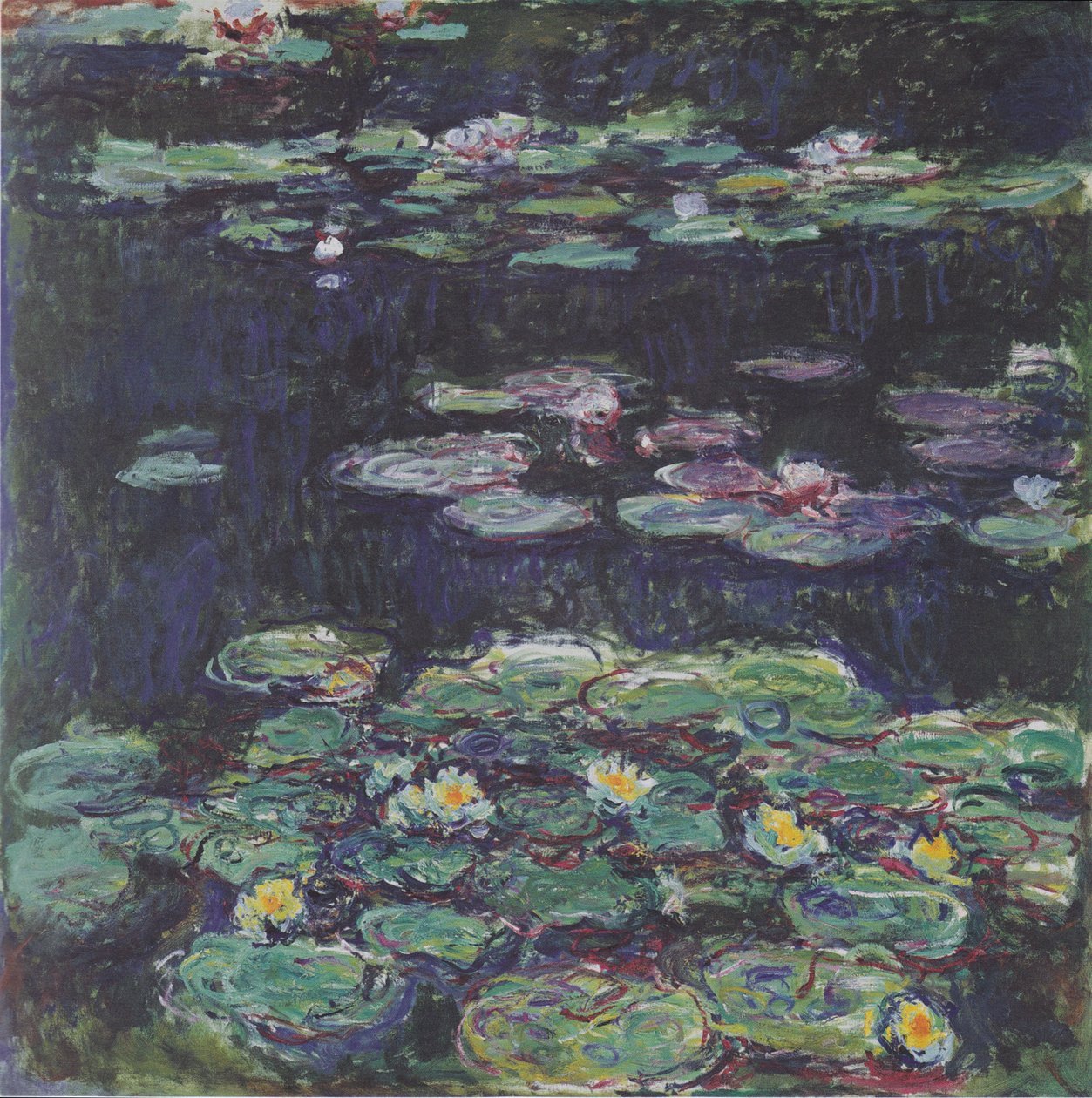 Lírios de água branca e amarela de Claude Monet